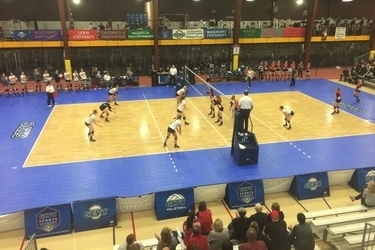 Volleyball