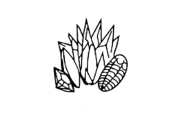 PEORIA AREA ROCK, GEM, & MINERAL SHOW